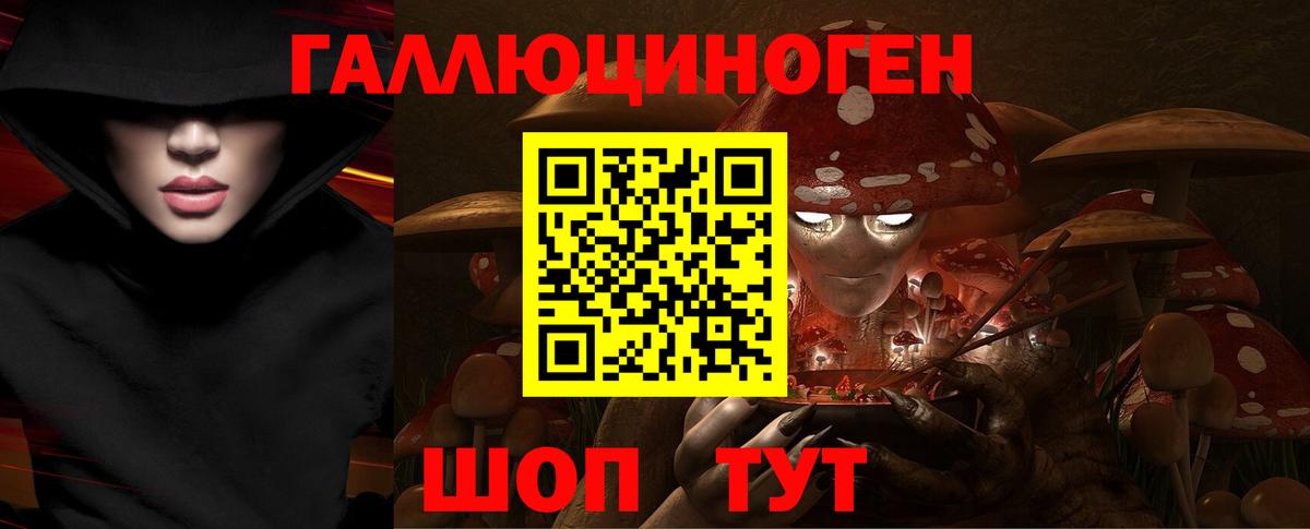 Галлюциногенные грибы Psilocybe  Вход с VPN  Ефремов 